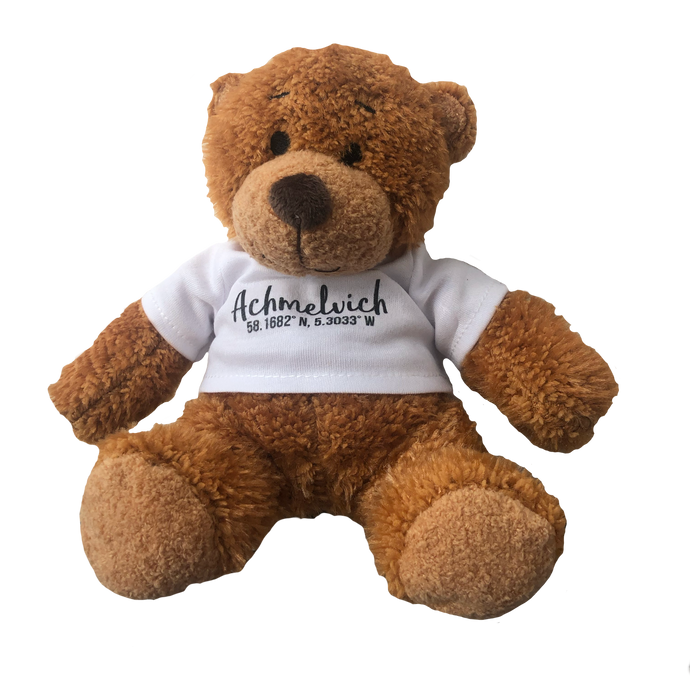 MELVIN TEDDY BEAR (ACHMELVICH COORDINATES)
